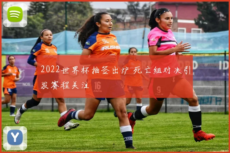 2022世界杯抽签出炉 死亡组对决引发赛程关注