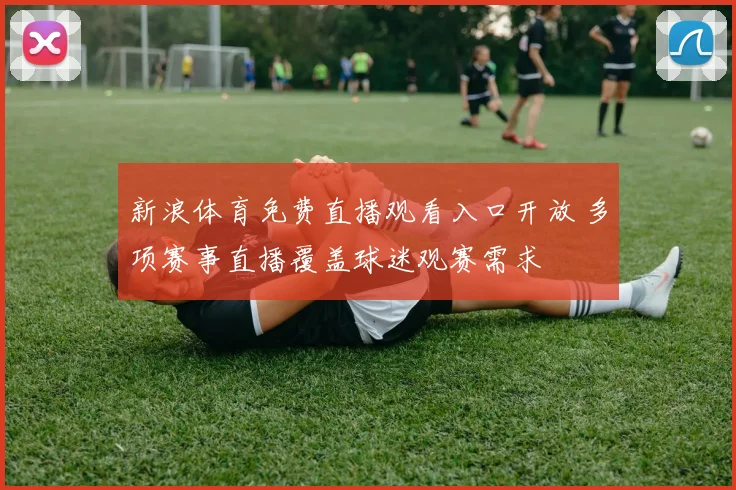 新浪体育免费直播观看入口开放 多项赛事直播覆盖球迷观赛需求