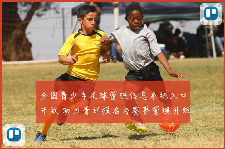 全国青少年足球管理信息系统入口开放 助力青训报名与赛事管理升级